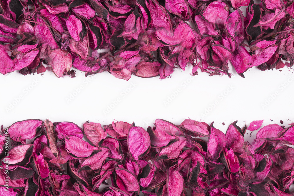 colorful dried flowers strip on a white background