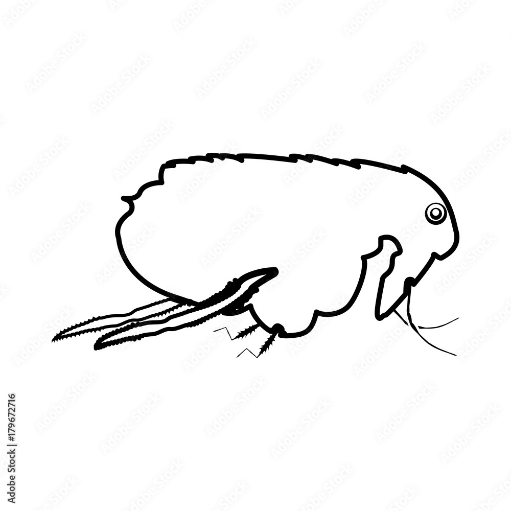 Flea black icon . Flea black icon .