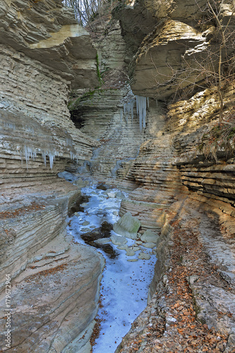 Canyon Brent de l'Art photo