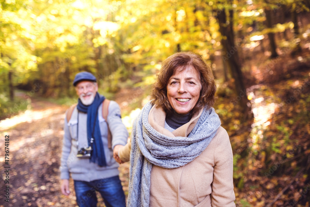 Senior couple on a walk in autumn forest. Senior couple on a walk in autumn forest.