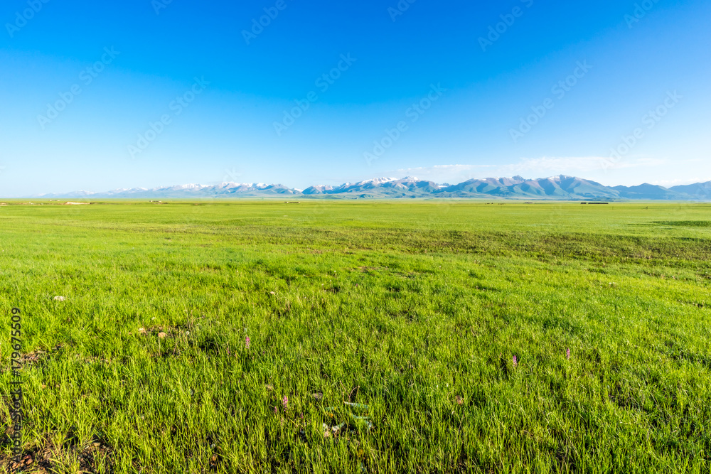 grasland in Xinjiang,China