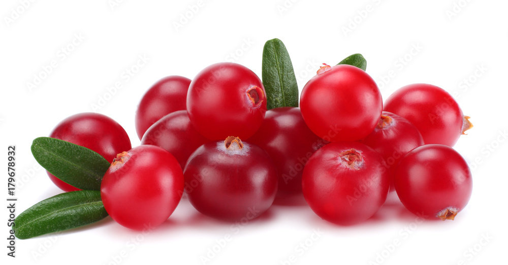 Cranberry with leaves isolated on white. With clipping path. Full depth of field.