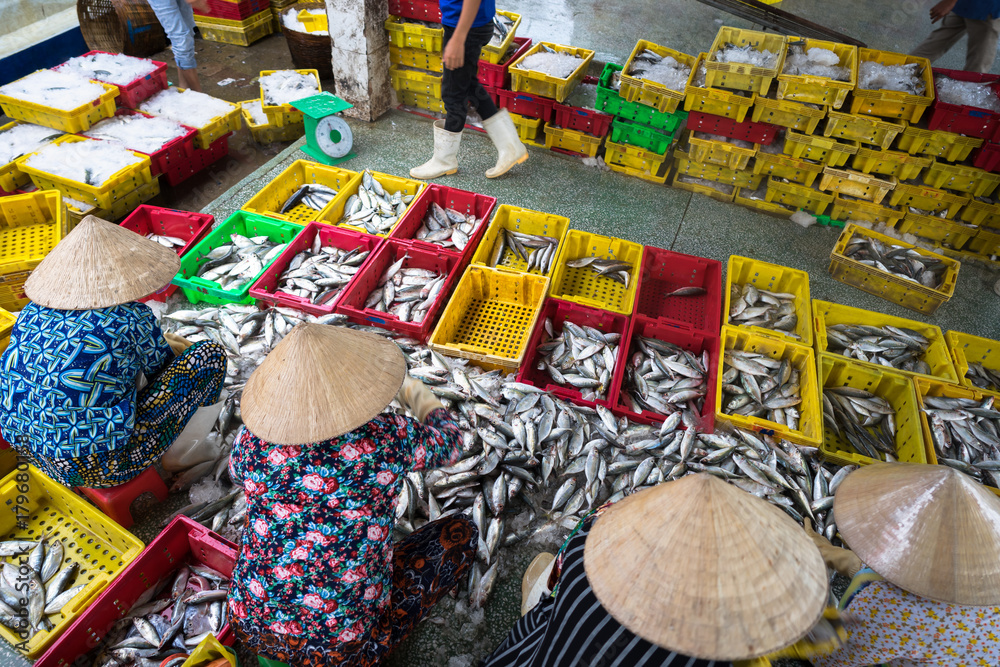 Caught fishes sorting to baskets by Vietnamese women workers in Tac Cau fishing port, Me Kong delta province of Kien Giang, south of Vietnam