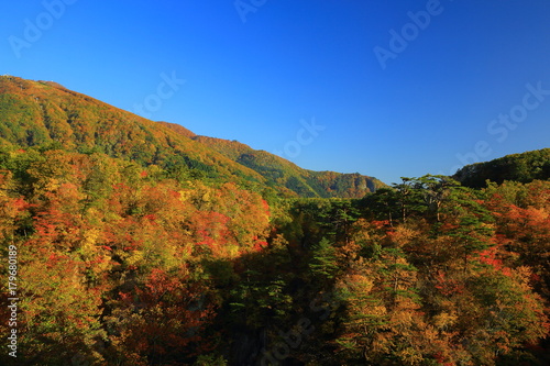 紅葉の鳴子峡