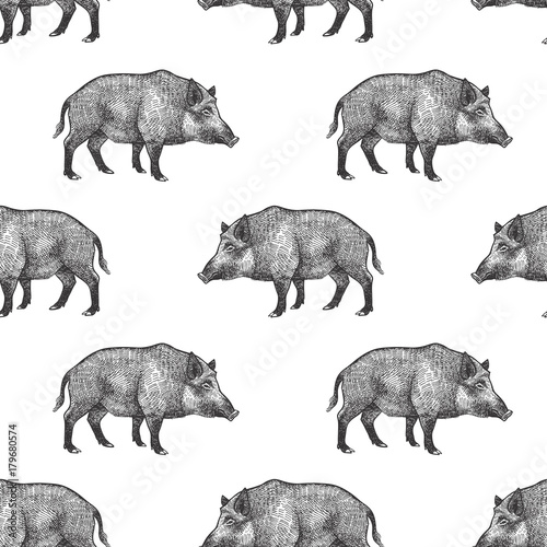 Seamless pattern with boars.