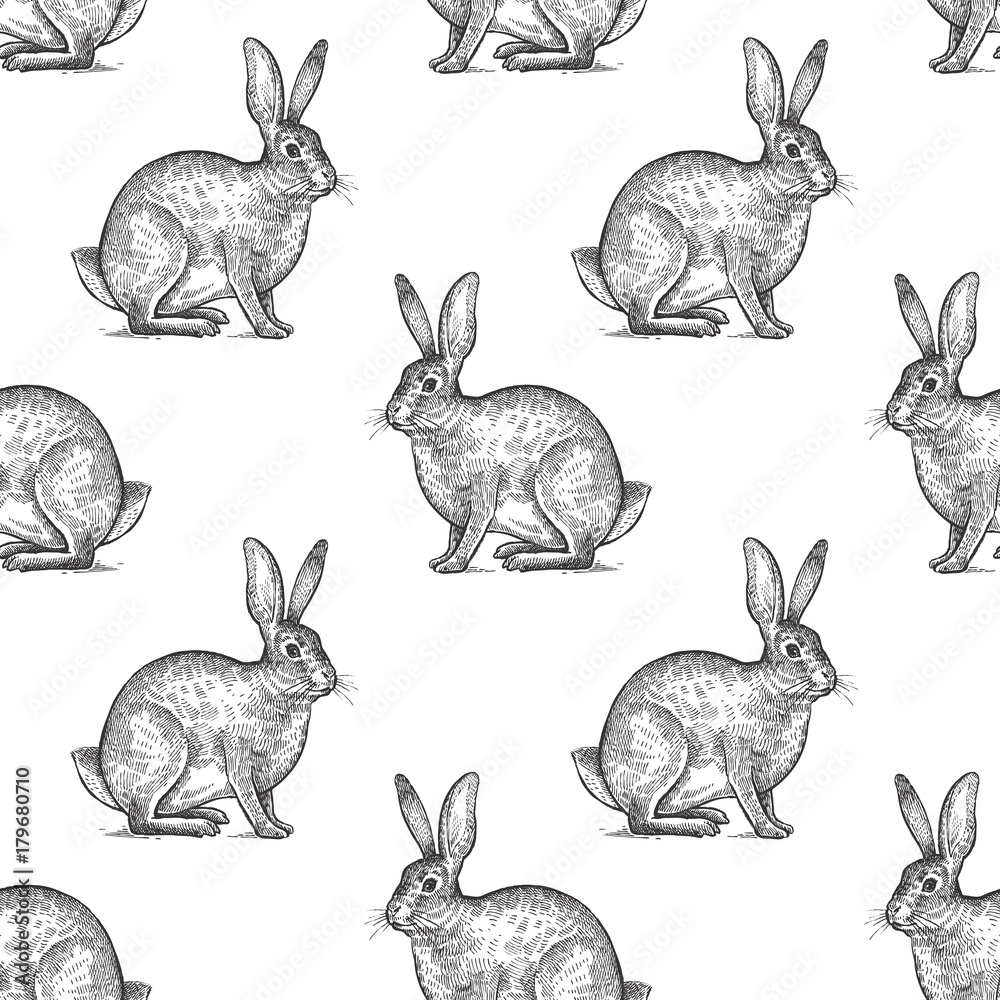 Obraz premium Seamless pattern with hare.