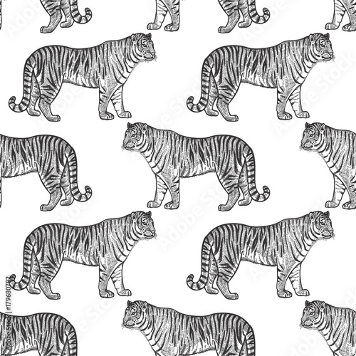 Seamless pattern with tiger. © marinavorona