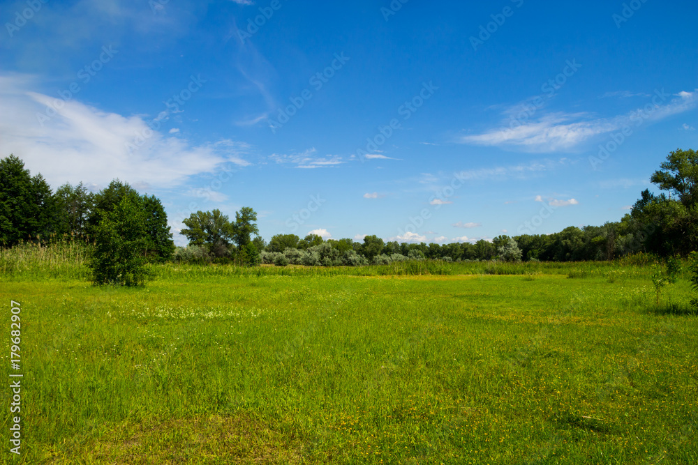 Summer landscape with green trees, meadow and blue sky Summer landscape with green trees, meadow and blue sky