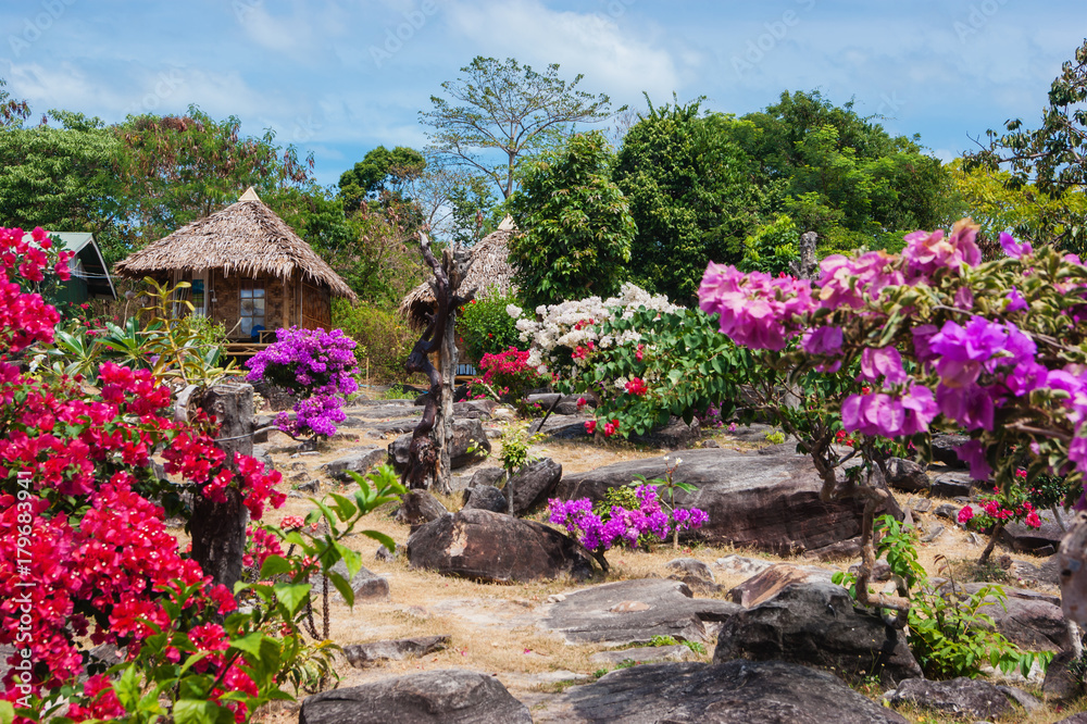 garden on the hill of the island of Phi Phi