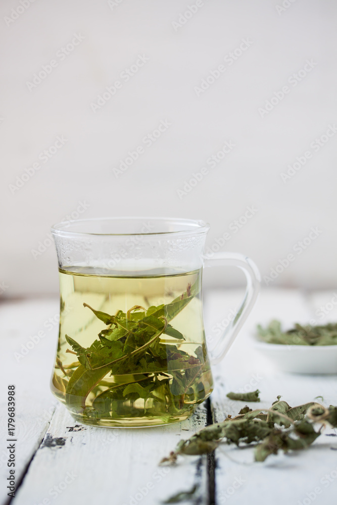 Fototapeta premium melissa officinails lemon balm tea