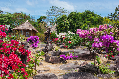 Fototapeta Naklejka Na Ścianę i Meble -  garden on the hill of the island of Phi Phi