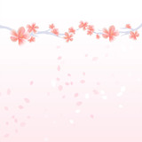Flower background. Branches of Sakura and petals flying isolated on light pink gradient background. Apple-tree flowers. Cherry blossom. Vector