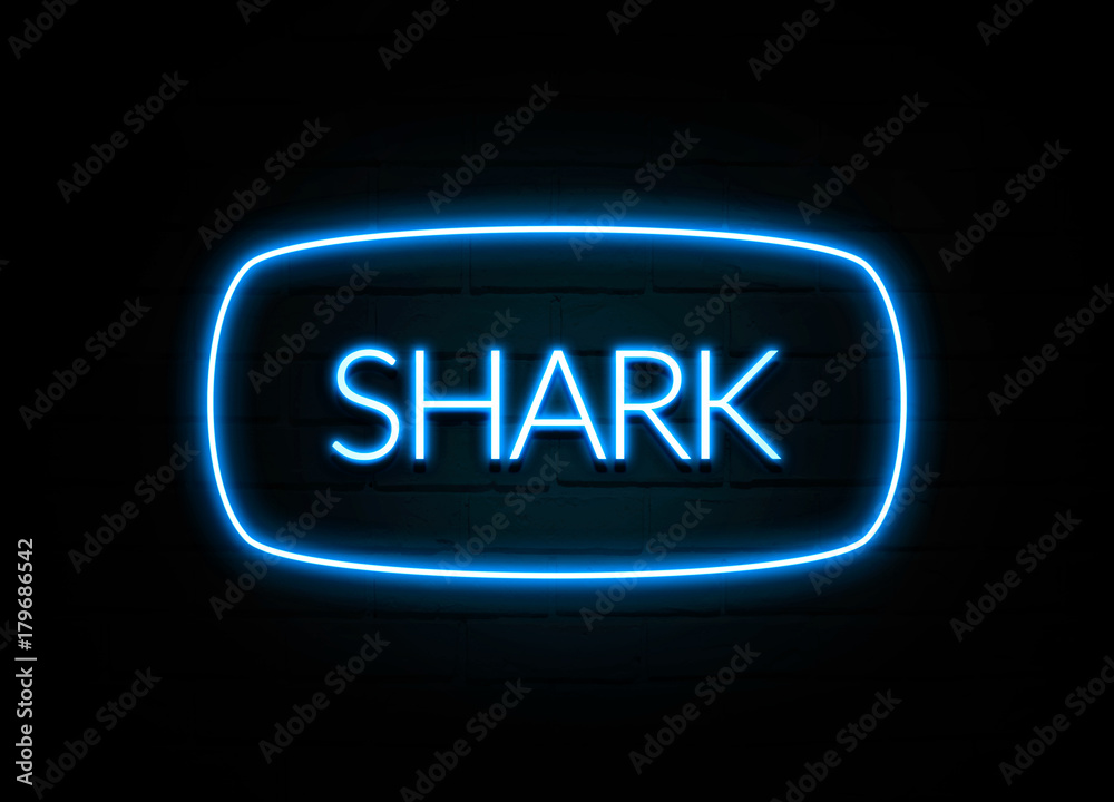 Shark - colorful Neon Sign on brickwall Shark - colorful Neon Sign on brickwall