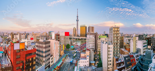 Canvas Print Top view of Asakusa area in Tokyo Japan