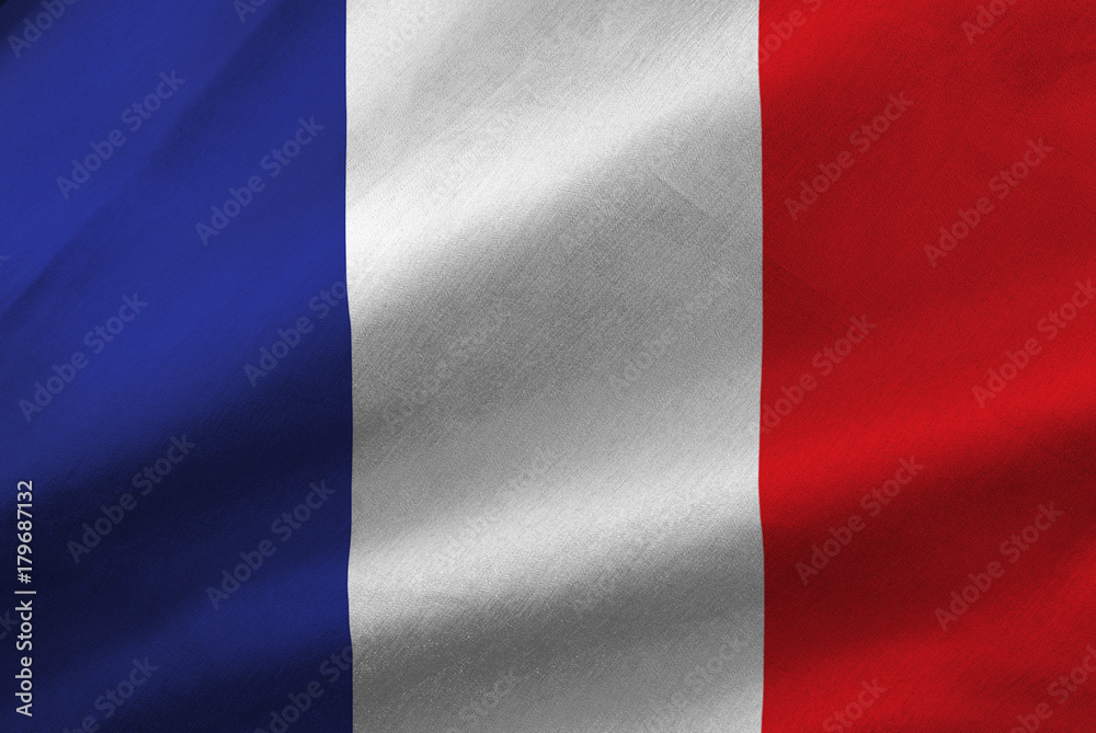 flag of France and flowers close-up