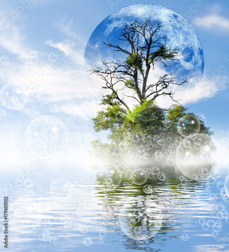 stylized image of moon and tree against the water background