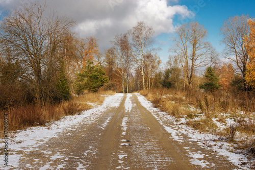 snow-covered road among the trees in late autumn