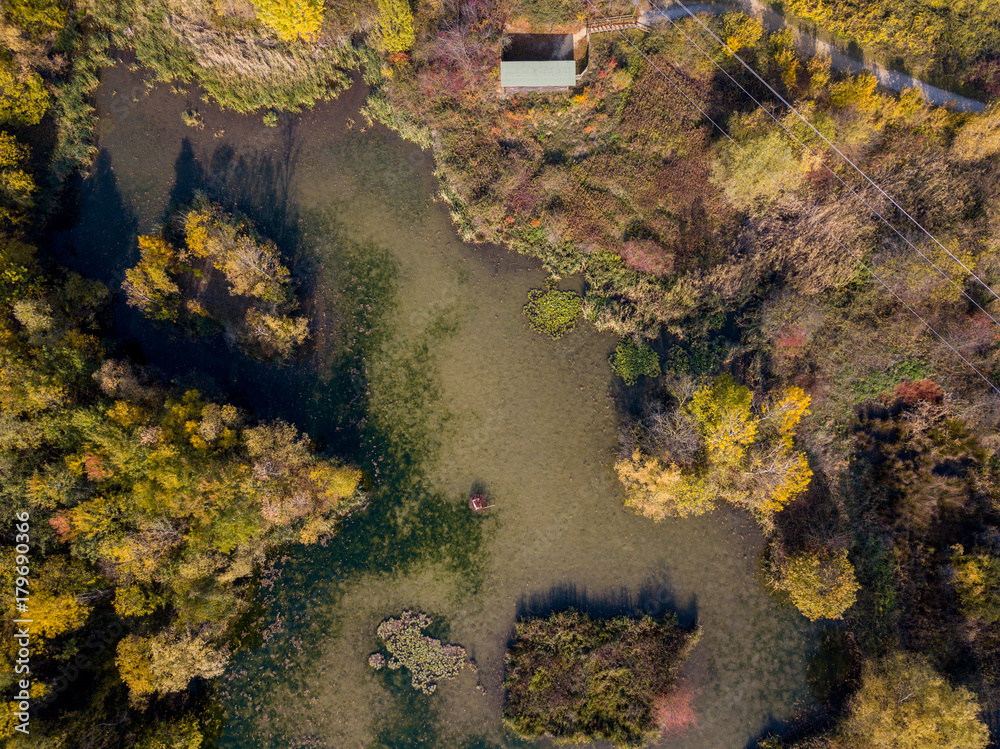 Natura e paesaggio: vista aerea di un bosco e di laghi, foliage di autunno, verde ed alberi in un paesaggio di natura selvaggia. Riserva naturale e capanno di avvistamento