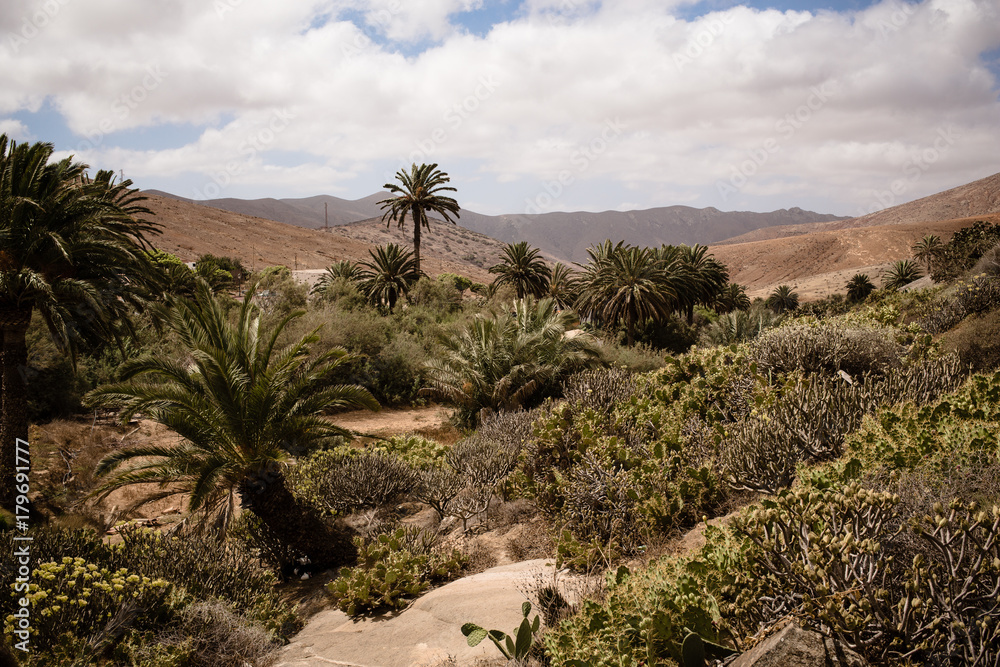 Landscape of Fuerteventura, Spain.