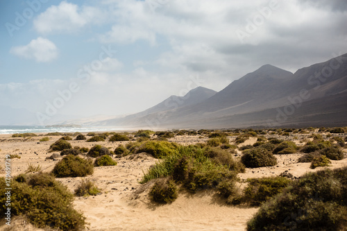 Playa de Cofete  Fuerteventura  Canary Island.