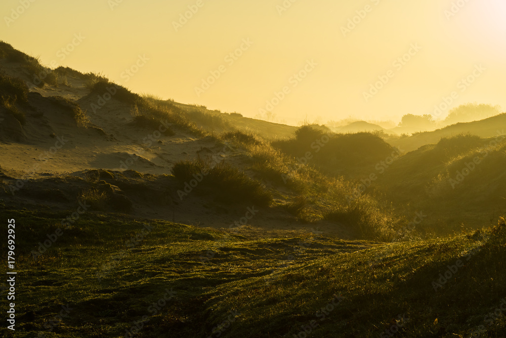 View of the sandy Coepelduynen in Katwijk in early morning sunlight