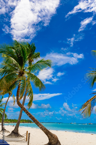 Fototapeta Naklejka Na Ścianę i Meble -  resort beach palm tree sea