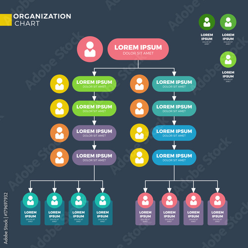 Business organizational structure. Vector hierarchy chart