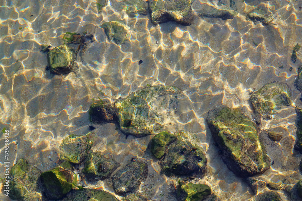 View of the seabed through the purest water. View of the seabed through the purest water.