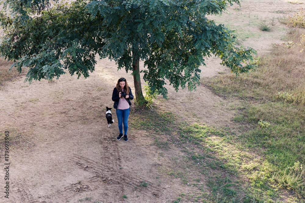 Obraz premium Woman making photo of stray dog in front of the tree in beautiful sun lights.