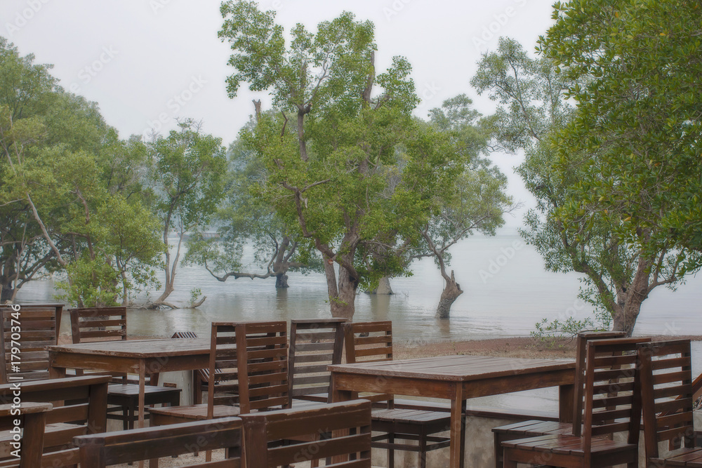 thickets of mangrove trees and the empty coffee shop on a misty sea shore in Thailand
