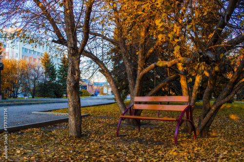 A wooden bench stands in an autumn park, and the setting sun illuminates it