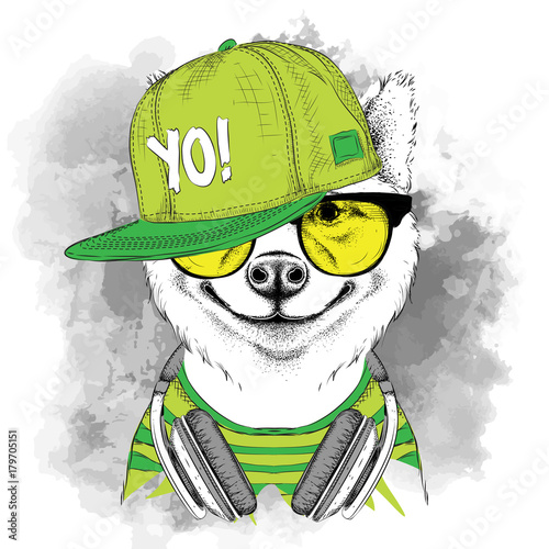 The poster of the sakita inu dog portrait in hip-hop hat and with headphones. Vector illustration.