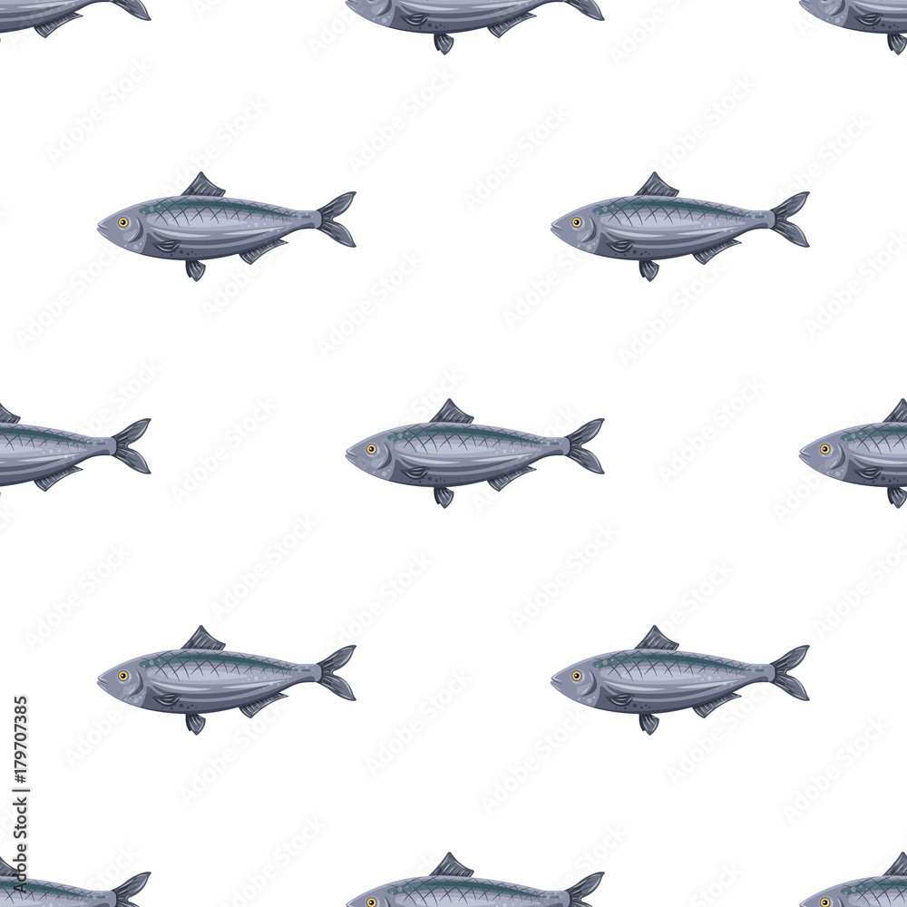 Seamless pattern flat herring fish isolated on white background. Marine fresh food
