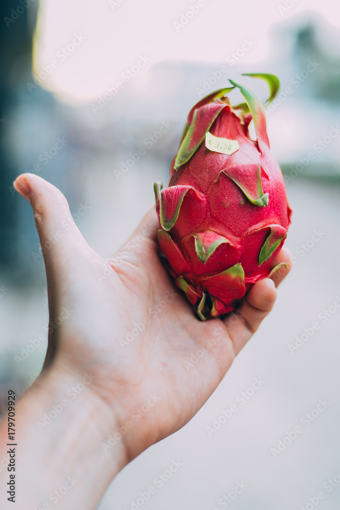 Fresh Dragon fruit or pitaya in hand. Fresh Dragon fruit or pitaya in hand.