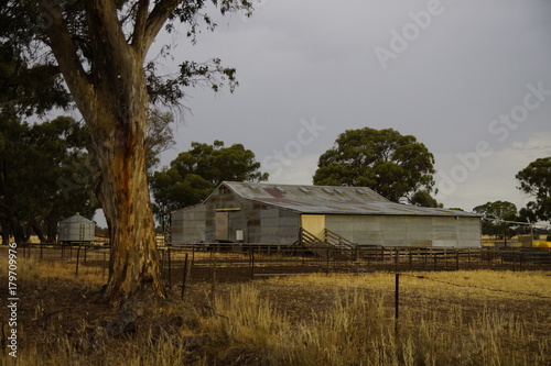 Shearing shed at Bagshot North, Victoria, Australia