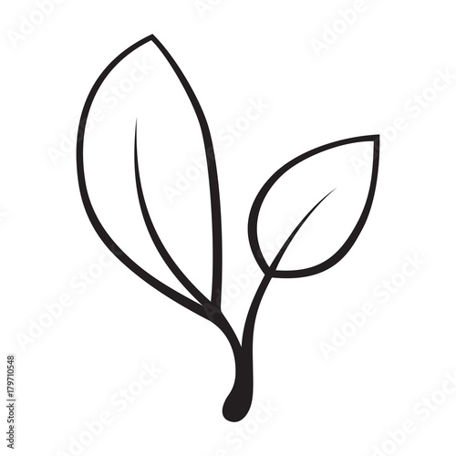 Vector stylized silhouette of spring tree leaf isolated on white background.