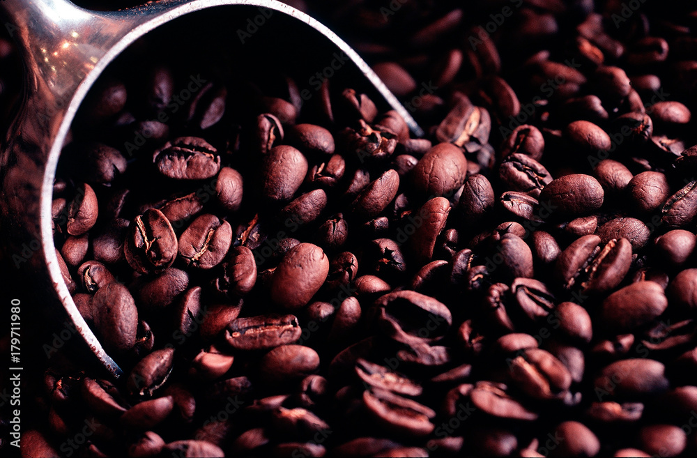 coffee bean quality scale