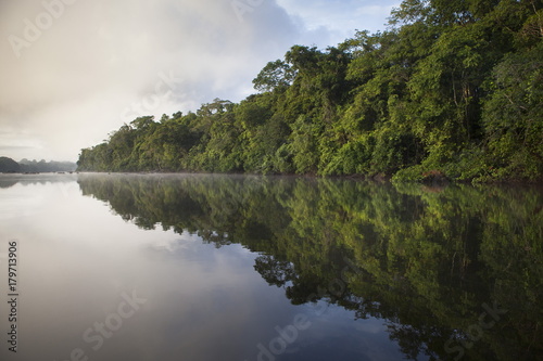 Brazil, Amapa, Bank of the river Araguari and the Amazonian forest at dawn photo