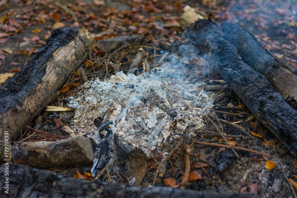 Fototapeta premium hiking fire place bbq in forest with small fire and ash