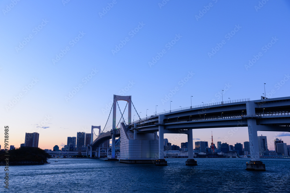 Fototapeta premium 東京 お台場 レインボーブリッジ・スペシャルライトアップ