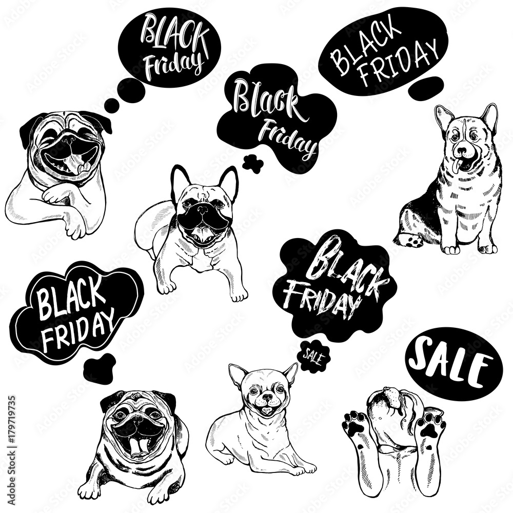 Set of hand drawn sketch style Black Friday dogs. Vector illustration isolated on white background.