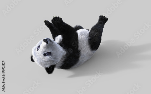 Fototapeta Naklejka Na Ścianę i Meble -  3d illustration panda isolated on white background with clipping path, a cute panda bear.