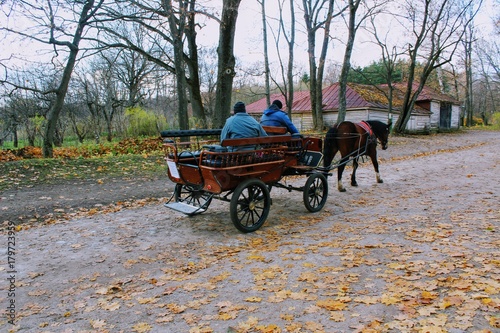 Horse walks in the park in the estate of Count Leo Tolstoy in Yasnaya Polyana in October 2017. © Arthur