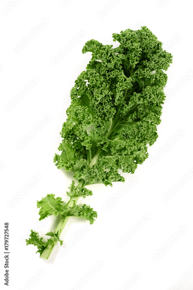 Obraz premium kale leaf isolated