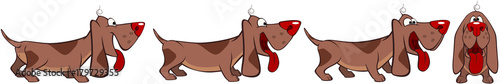 Set Cartoon Illustration. Dachshund. A Funny Dogs for you Design