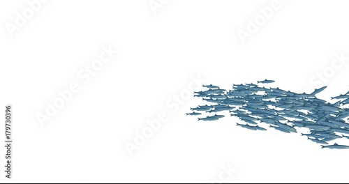 Isolated School of Fish