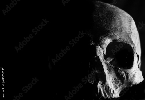 Canvastavla Lumière sur la mort
