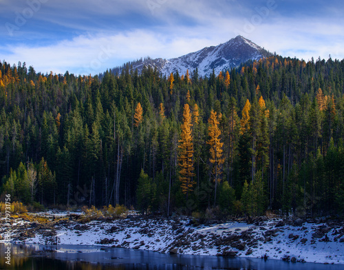 Tamaracks and Peak