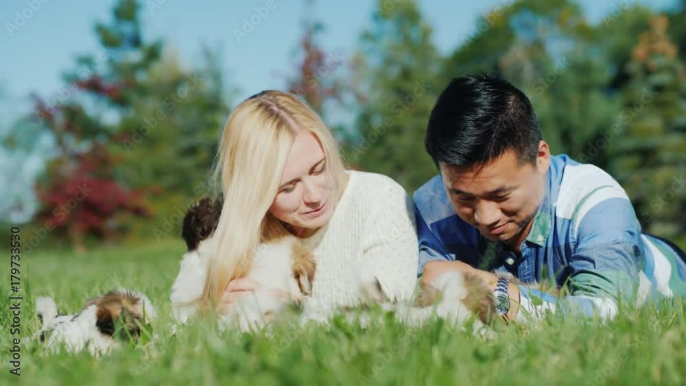Happy young couple playing with puppies, lying on the lawn in their yard Happy young couple playing with puppies, lying on the lawn in their yard