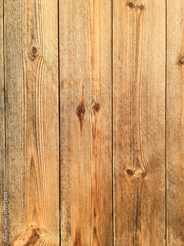 Wood texture, Wood background